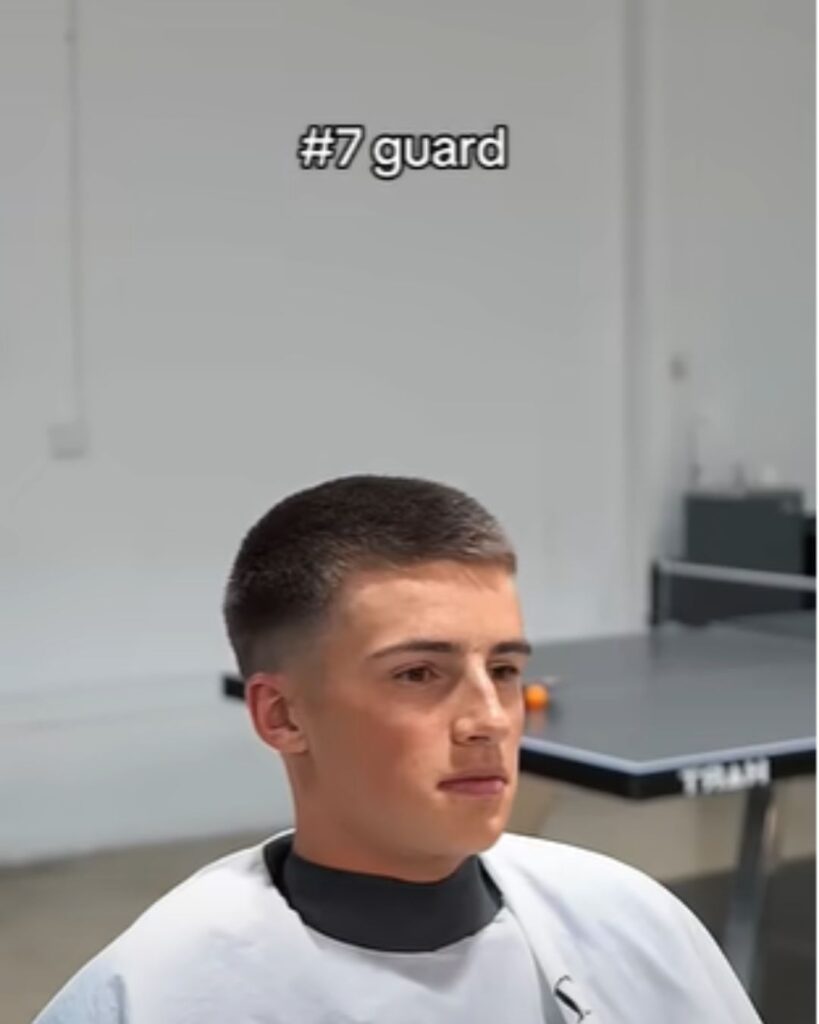 Buzz Cut Length 7